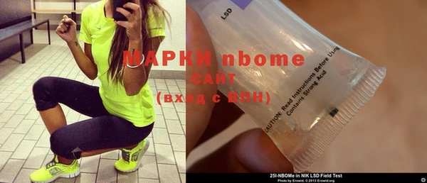 гашик Дмитров