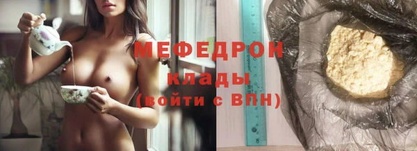 гашик Дмитров