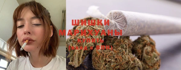 гашик Дмитров