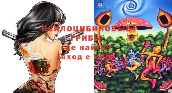 гашик Дмитров