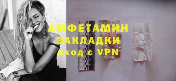 гашик Дмитров