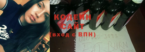 гашик Дмитров