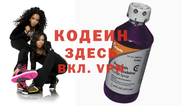 гашик Дмитров