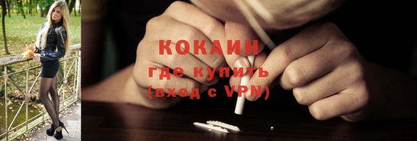 гашик Дмитров