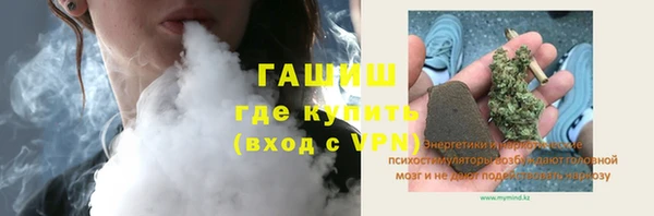гашик Дмитров
