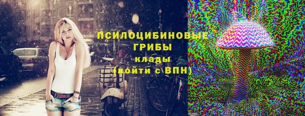 гашик Дмитров