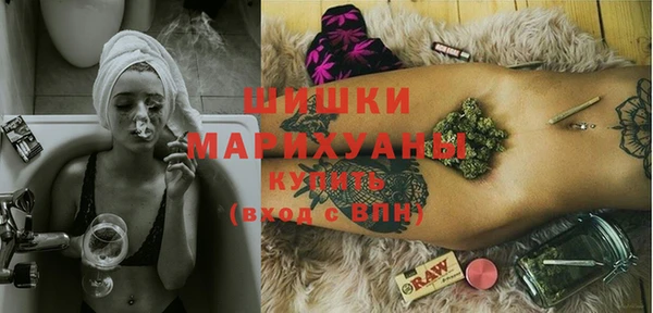 гашик Дмитров