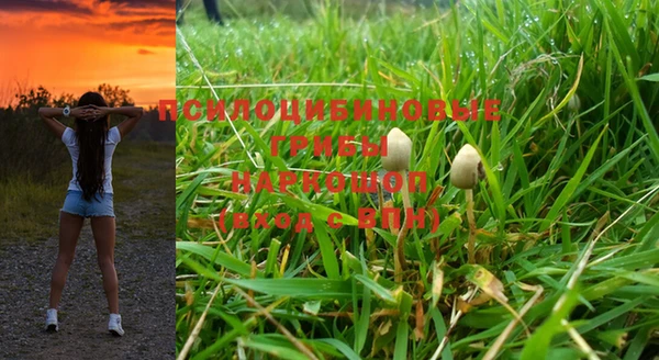 ALPHA-PVP Дмитровск