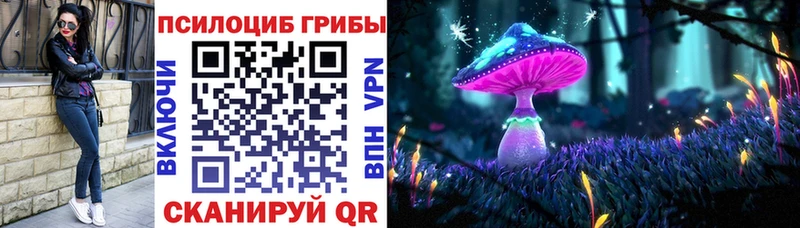 как найти   Южноуральск  Галлюциногенные грибы Cubensis 